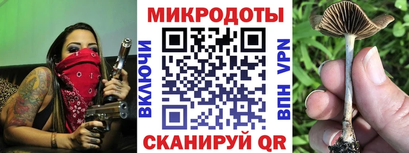 Псилоцибиновые грибы Psilocybe  Курганинск 