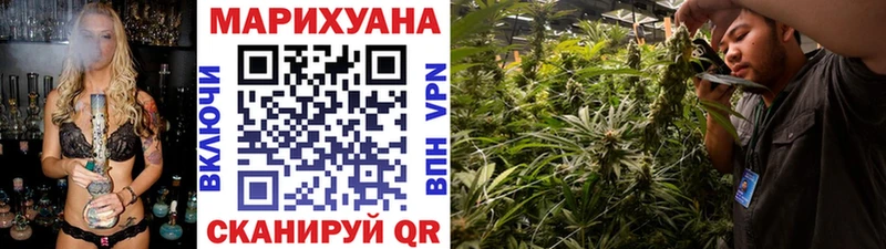 купить наркотик  Курганинск  Бошки марихуана планчик 